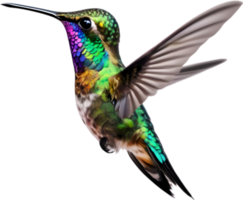 AI generated A colorful hummingbird painting. Ai-generated. png