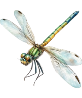 AI generated Watercolor painting of a dragonfly. Ai-generated png