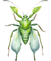 ai gegenereerd waterverf schilderij van een grijzen blad insect. ai-gegenereerd png