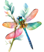 ai generiert Aquarell Gemälde von ein Libelle. KI-generiert png