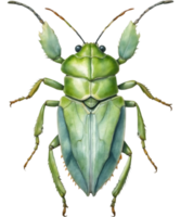 ai generado acuarela pintura de un grises hoja insecto. generado por ai png