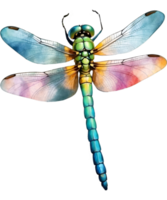 AI generated Watercolor painting of a dragonfly. Ai-generated png