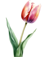 ai gegenereerd kleurrijk waterverf tulp schilderen, ai-gegenereerd. png