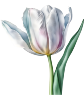 AI generated Colorful Watercolor Tulip painting, Ai-generated. png