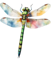 AI generated Watercolor painting of a dragonfly. Ai-generated png