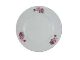 white plate. plate png