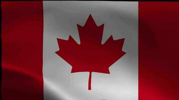 Kanada Flagge. Kanada Flagge winken mit hoch Qualität Textur im 4k National Flagge video