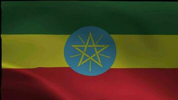 vlag van Ethiopië, golvend vlag van Ethiopië, 4k geven naadloos animatie. video