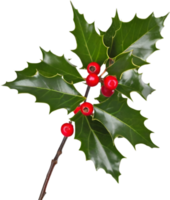 AI generated An image of holly branches. Ai-generated. png