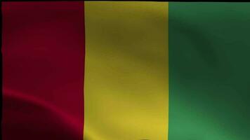 Guinea Flag. National 3d Guinea flag waving. Flag of Guinea footage video waving in wind