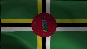 Dominica Flag. National 3d Dominica flag waving. Flag of Dominica footage video waving in wind.