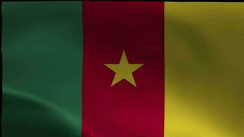 Cameroon waving flag fabric texture of the flag and 3d animation video