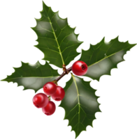 AI generated An image of holly branches. Ai-generated. png