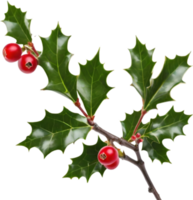 AI generated An image of holly branches. Ai-generated. png
