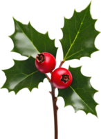 AI generated An image of holly branches. Ai-generated. png