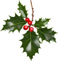 AI generated An image of holly branches. Ai-generated. png