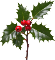 AI generated An image of holly branches. Ai-generated. png