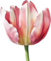 ai generado vistoso acuarela tulipán cuadro, ai-generado. png