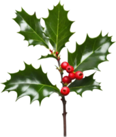 AI generated An image of holly branches. Ai-generated. png