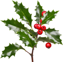 AI generated An image of holly branches. Ai-generated. png