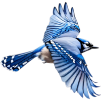 AI generated A close-up painting of a blue jay bird. Ai-generated. png