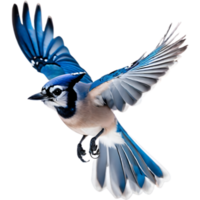 AI generated A close-up painting of a blue jay bird. Ai-generated. png