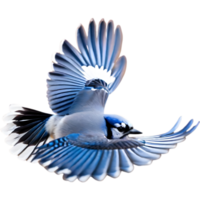 AI generated A close-up painting of a blue jay bird. Ai-generated. png