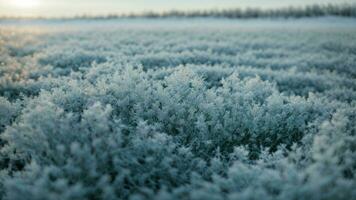 AI generated Describe the intricate patterns of frost on a window pane, highlighting the unique formations and delicate structures. photo