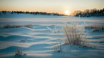 AI generated Depict the subtle variations in color and texture of snow in different lighting conditions, from the crisp glow of morning to the serene blue of twilight. photo