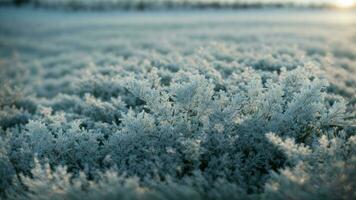 AI generated Describe the intricate patterns of frost on a window pane, highlighting the unique formations and delicate structures. photo