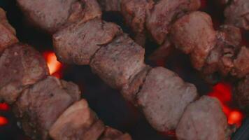 homme est cuisine porc en plein air et tournant barbecue Viande sur brochettes. chaud grillé kebab sur le charbons. pique-nique nourriture en train de préparer. milieu fermer coup video