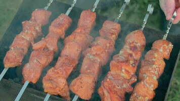 uomo è cucinando Maiale all'aperto e svolta barbecue carne su spiedini. caldo grigliato kebab su il carboni. picnic cibo preparazione. mezzo avvicinamento tiro video