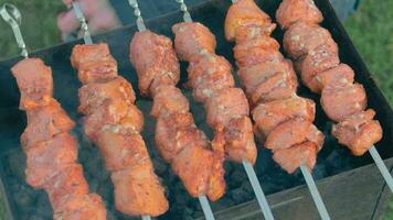 uomo è cucinando Maiale all'aperto e svolta barbecue carne su spiedini. caldo grigliato kebab su il carboni. picnic cibo preparazione. mezzo avvicinamento tiro video