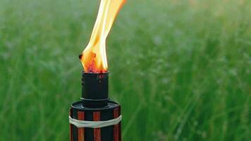 Bamboo Torch Burning in the European Forest. Decorative Tropical Candle Has a Massive Orange Flame Using Oil Fuel or Kerosene. Closeup Static Shot video