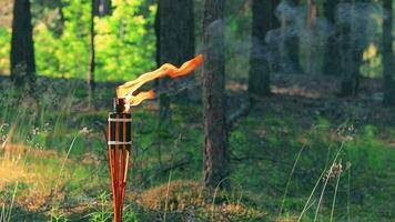bambú antorcha ardiente en el bosque en verano en el tiempo de día. decorativo tropical vela tiene un grande naranja fuego utilizando petróleo combustible o queroseno. estático Disparo video