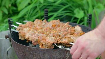 quente grelhado Kebab girando em a mangal dentro verão jardim. delicioso churrasco carne grelhar em espetos contra a verde natureza fundo. verão feriado piquenique conceito lento movimento. meio fechar-se video