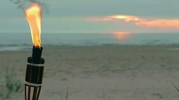 tropical bambú antorcha ardiente en el playa a verano noche. decorativo vela tiene un masivo naranja fuego utilizando petróleo combustible o queroseno lento movimiento. estático Disparo video