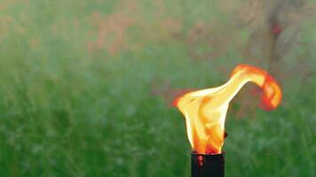 Bamboo Torch Burning in the European Forest. Decorative Tropical Candle Has a Massive Orange Flame Using Oil Fuel or Kerosene. Closeup Static Shot video