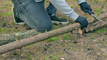 Mens in een wandeltocht zagen hout voor de kampvuur gebruik makend van een hand- zaag. toerist in een Europese Woud is voorbereidend voor de kamp. statisch schot video