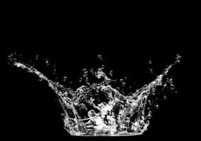 splashing water on a black background photo