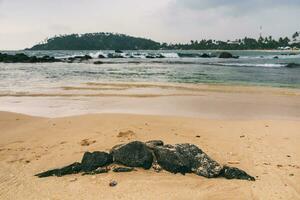 imagen de hermosa playa a sri lanka. foto