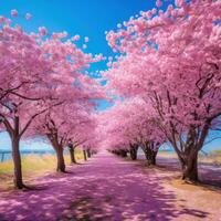 ai generado un campo de rosado Cereza florecer arboles en lleno floración en contra un azul cielo foto