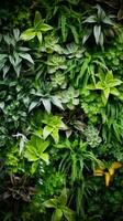 AI generated plant-covered wall, with various plant species arranged in a beautiful pattern. photo