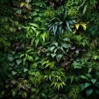 ai generado cubierto de plantas muro, con varios planta especies arreglado en un hermosa modelo. foto