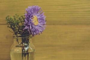 Image of vase with beautiful flower on wooden background. photo