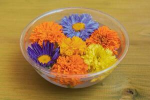 Beautiful flower petals in a  bowl on wooden background. photo