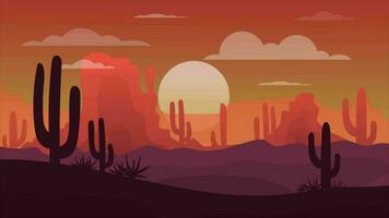 Nature Sunset Landscape And Cacti video