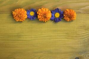 Image of beautiful flowers on wooden background. photo