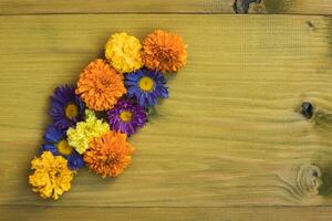 Image of beautiful flowers on wooden background. photo