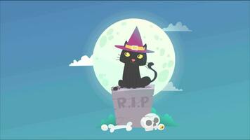 dia das Bruxas gato 2d animação video